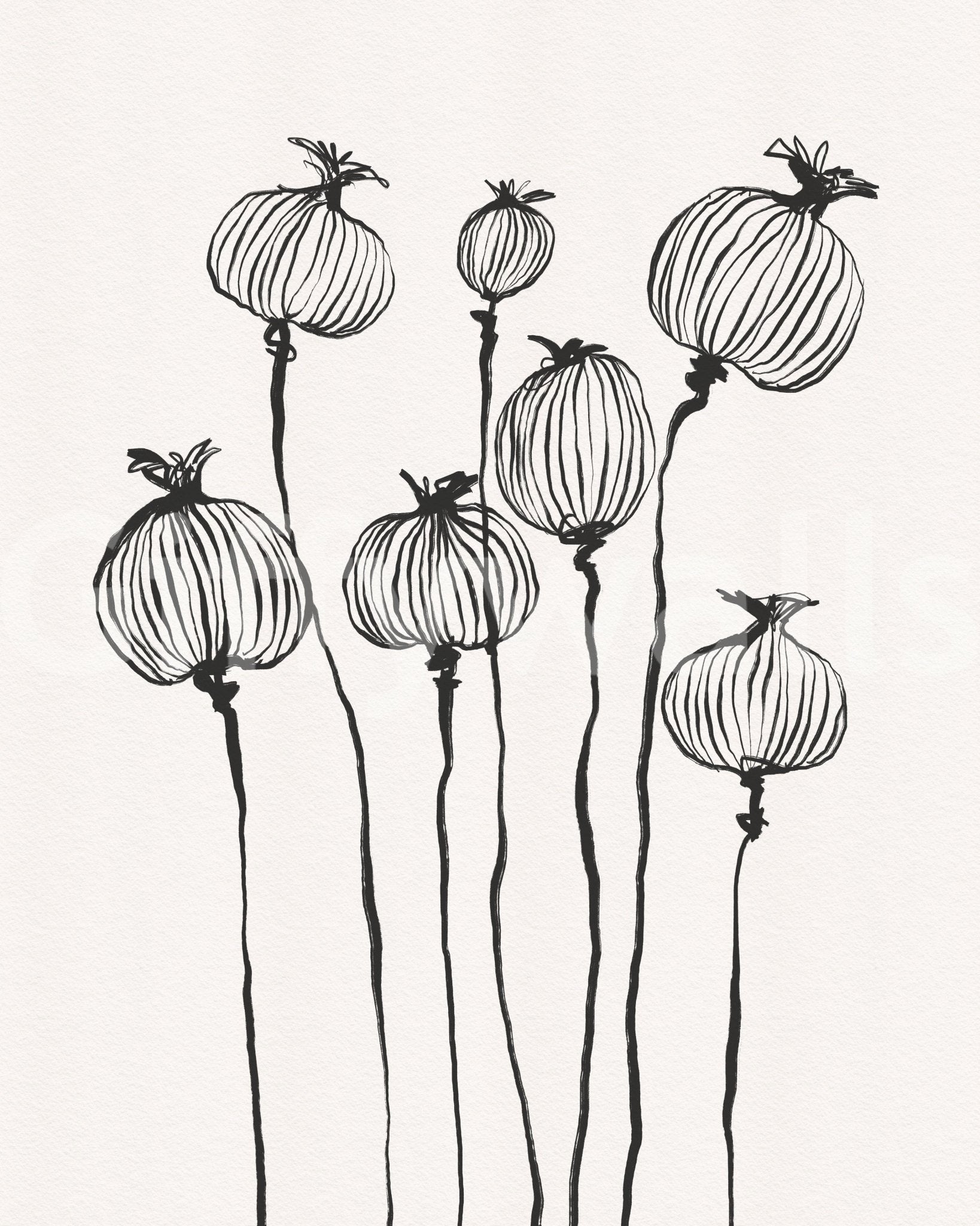 Ink Poppy Pods wall mural with tall black botanical linework on a soft neutral ground