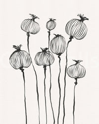 Ink Poppy Pods wall mural with tall black botanical linework on a soft neutral ground
