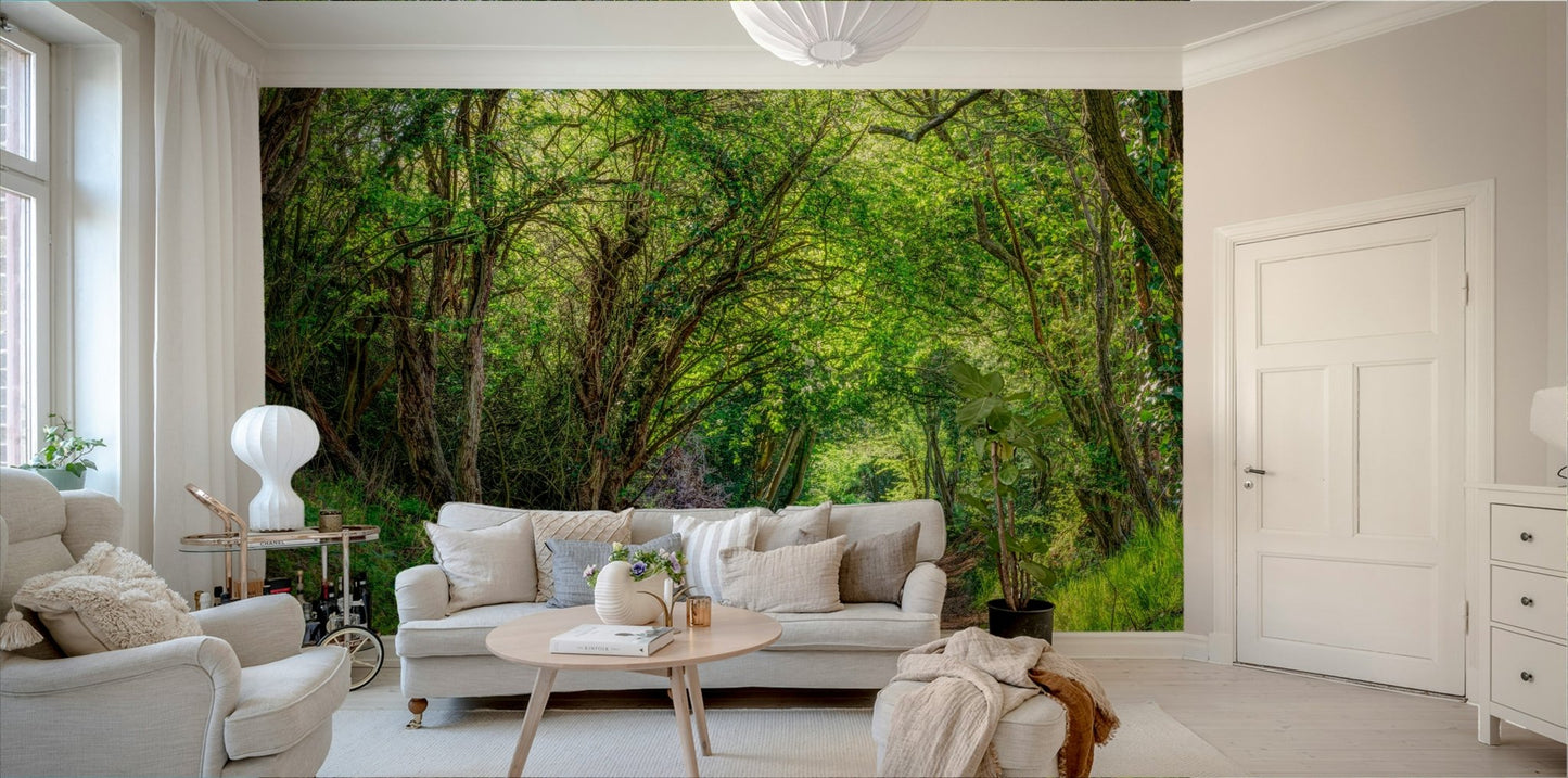 A classic forest path wallpaper for walls.

