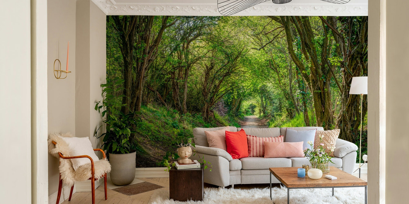 A beautiful forest path wallpaper mural for home decor.

