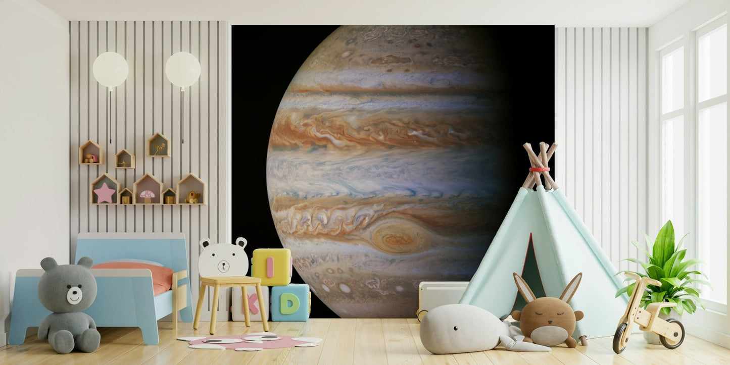 Jupiter's Majesty Wall Mural for a professional reception area wallpaper.