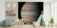 Jupiter's Majesty Wall Mural for a professional reception area wallpaper.