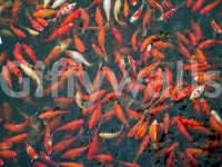 Serene and calming imagery
