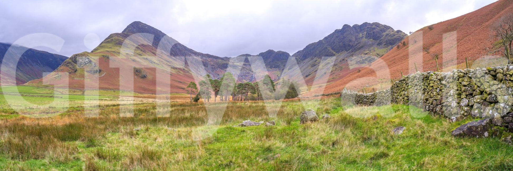 A detail of the warm tones in the grass and hills.

