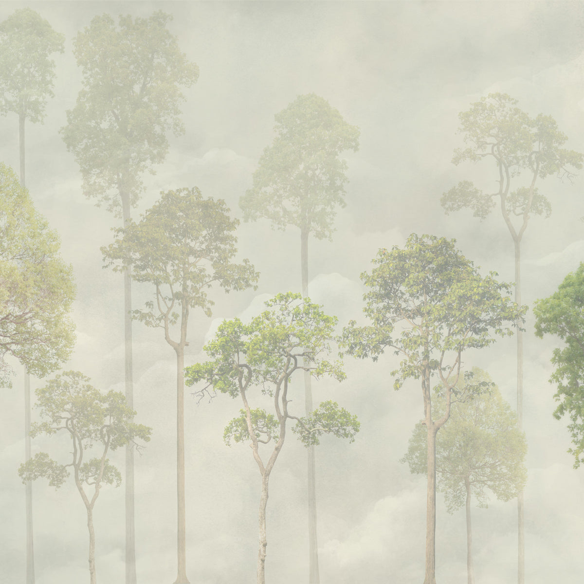 Misty Forest Wallpaper in your room — zoomed
