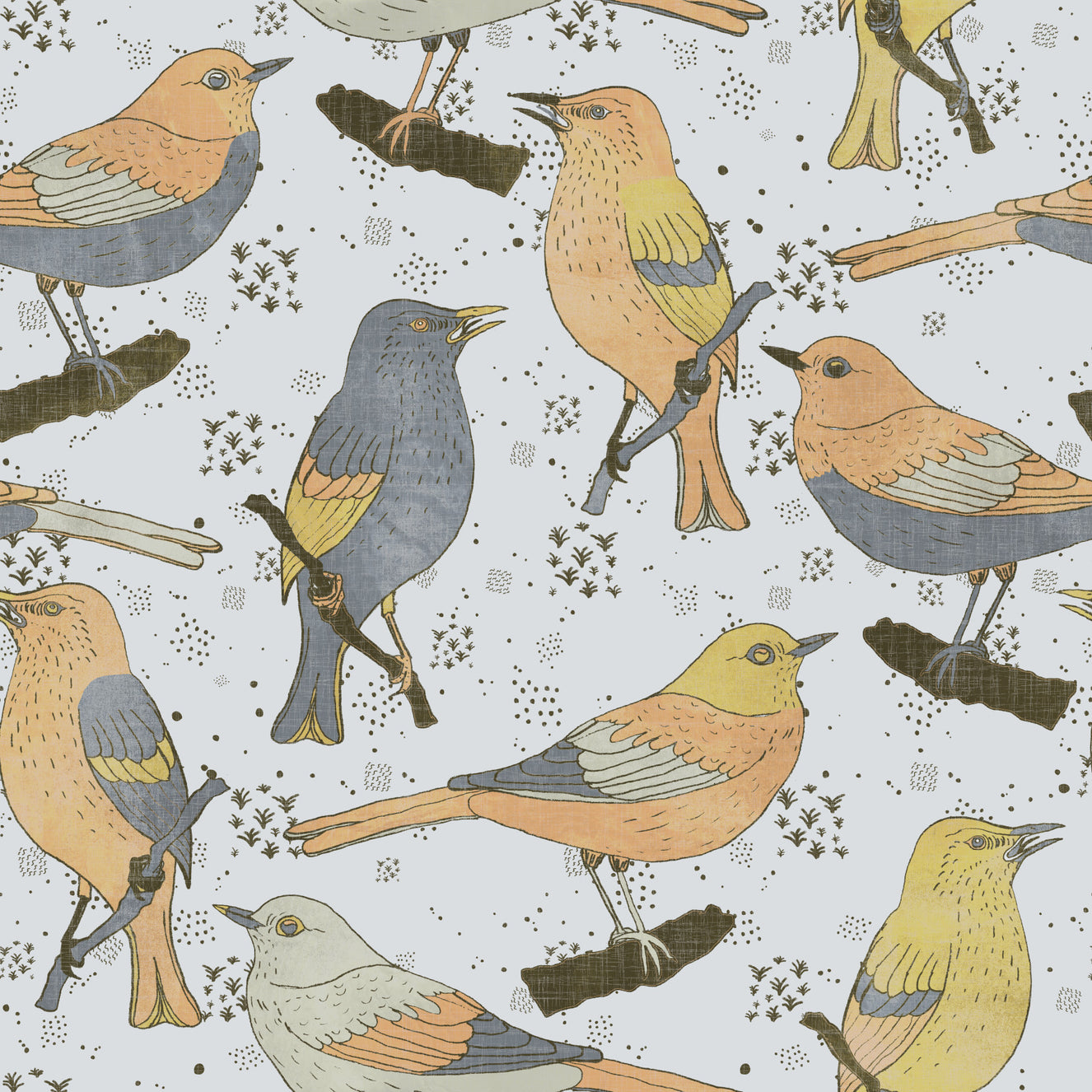Birds Golden and Gray