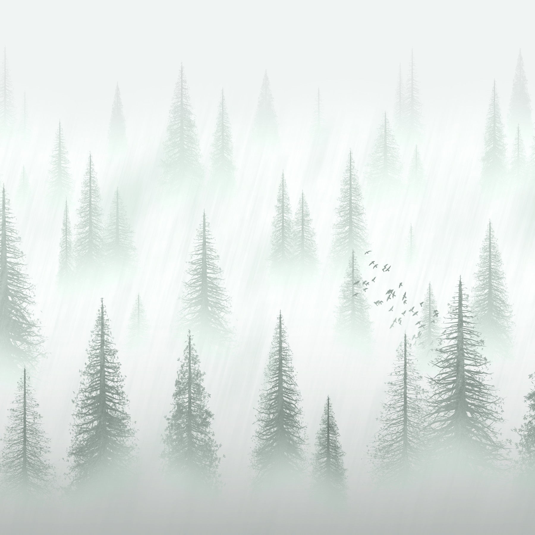 Forest serenity