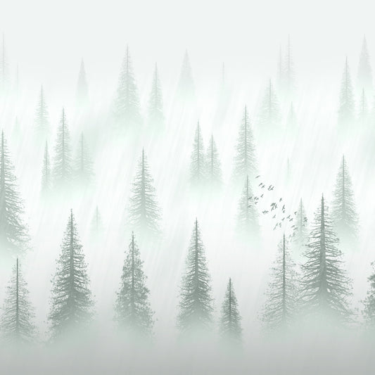 Forest serenity