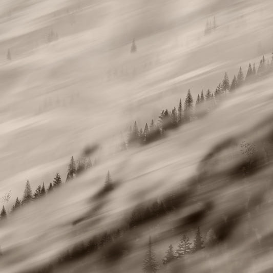 Forest Valley Sepia