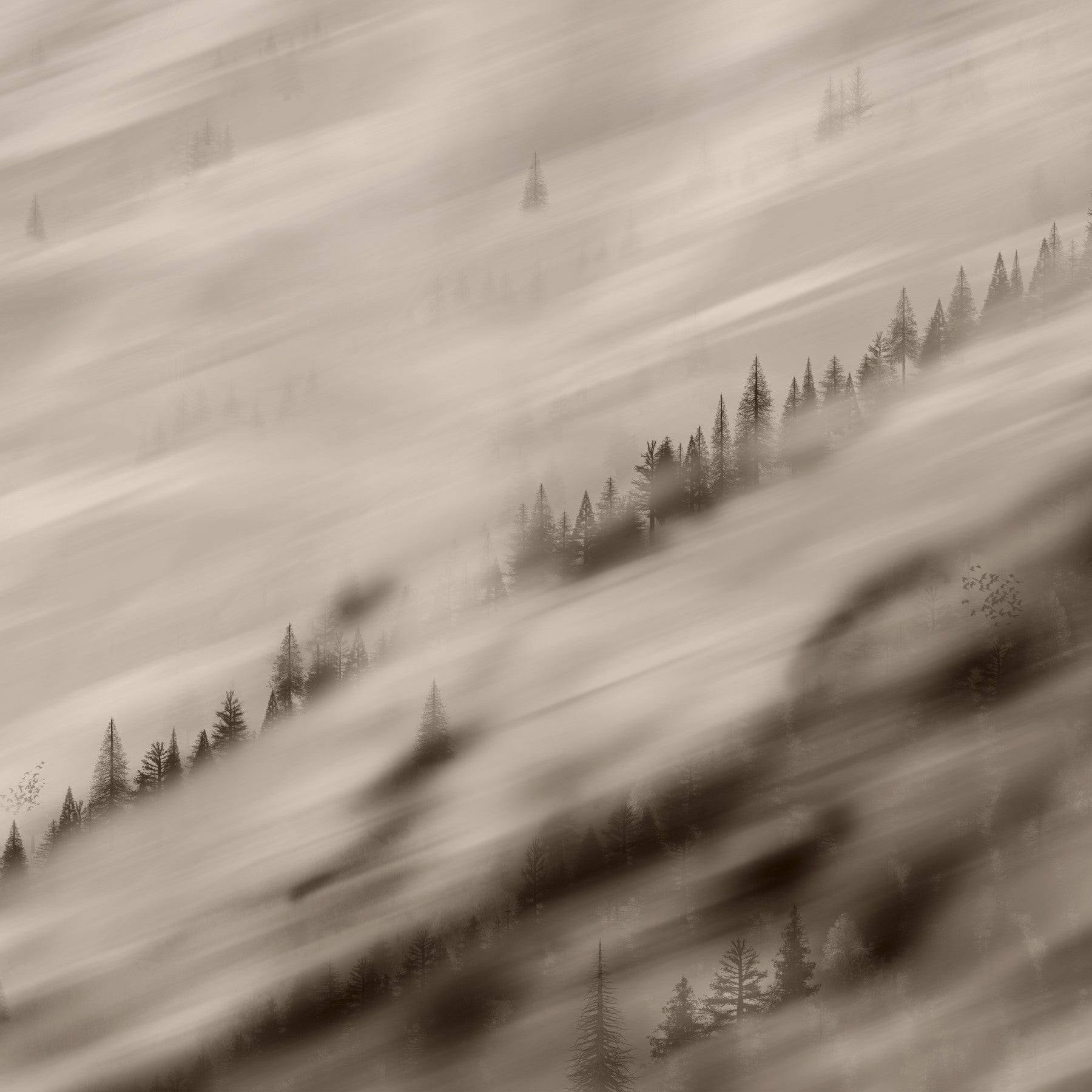 Forest Valley Sepia