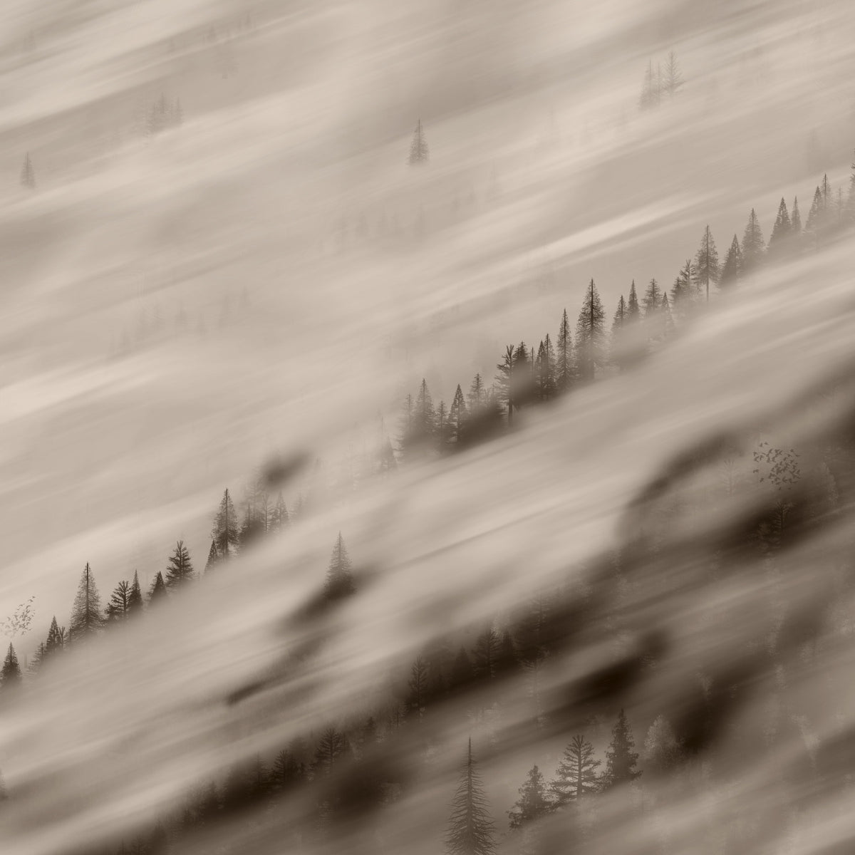 Forest Valley Sepia in your room — zoomed