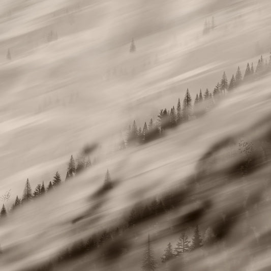 Forest Valley Sepia