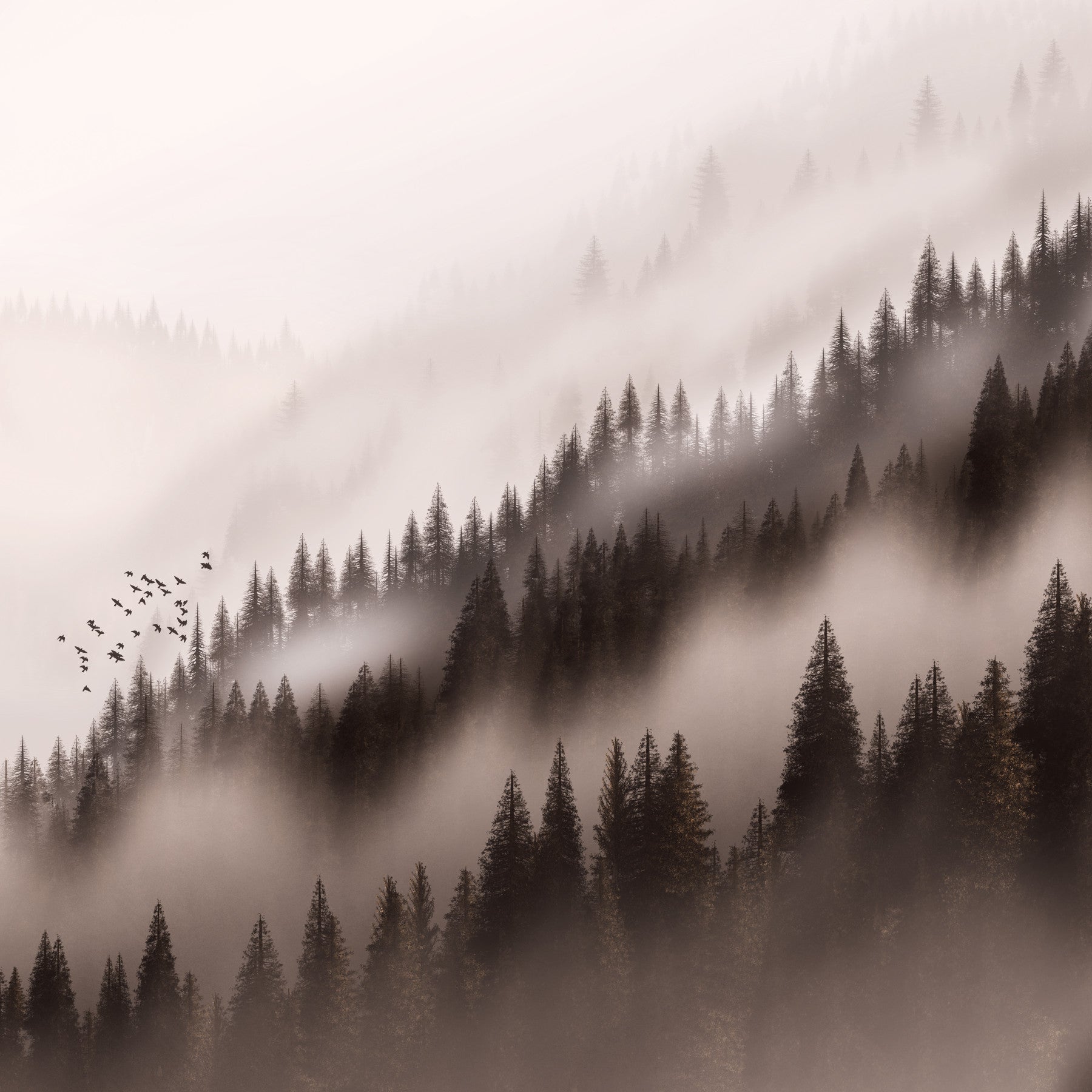 The Enchanted Valley Sepia