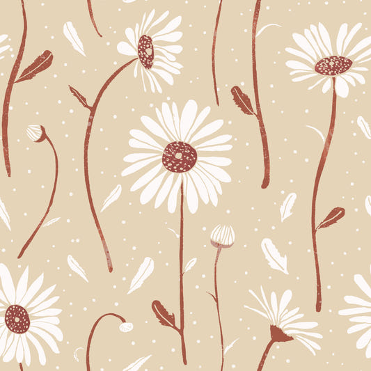 Cozy Cream Daisies