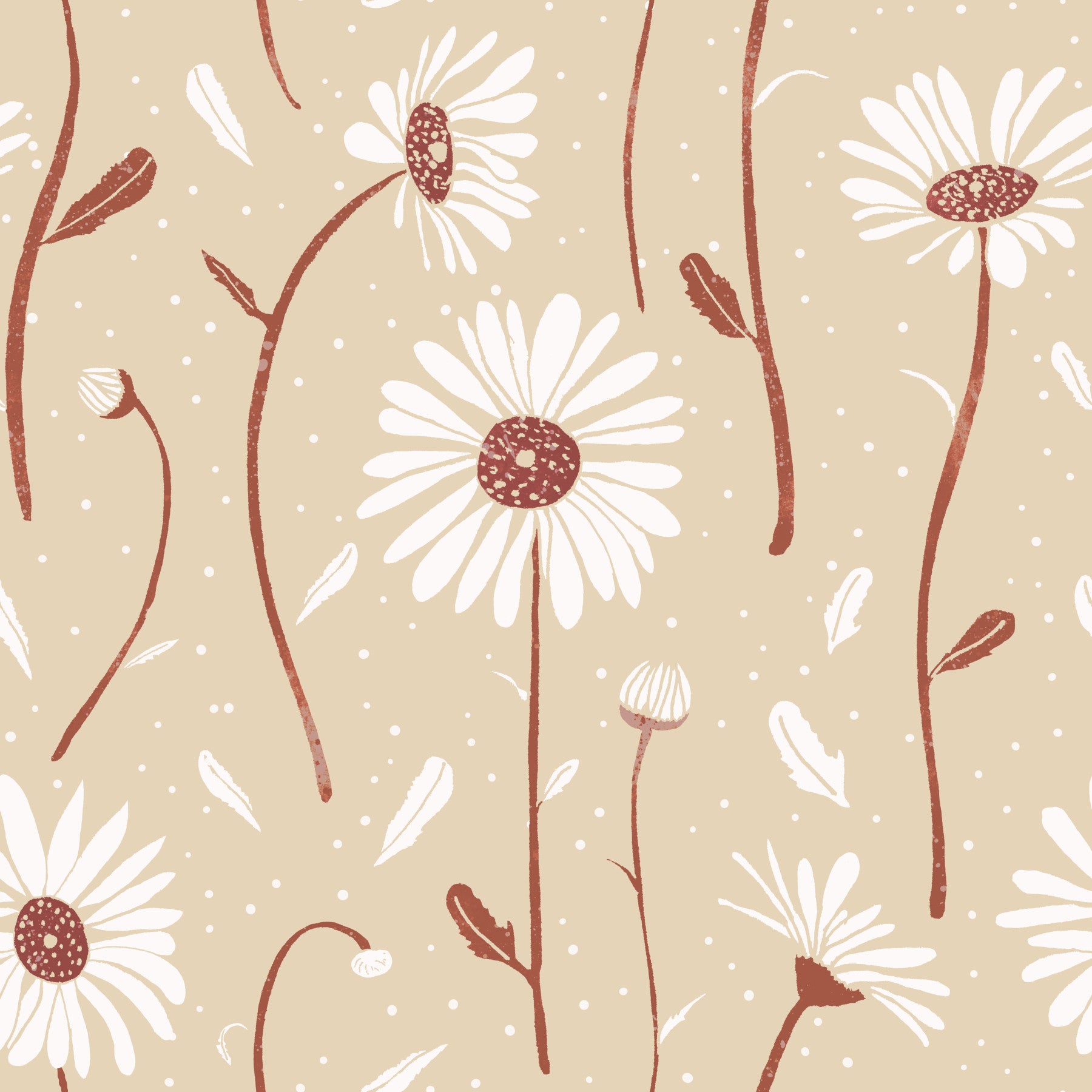 Cozy Cream Daisies