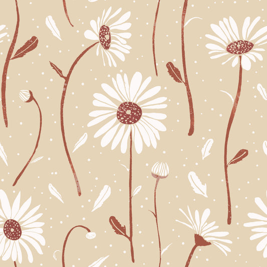 Cozy Cream Daisies