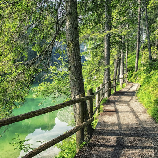 Emerald Lake Path