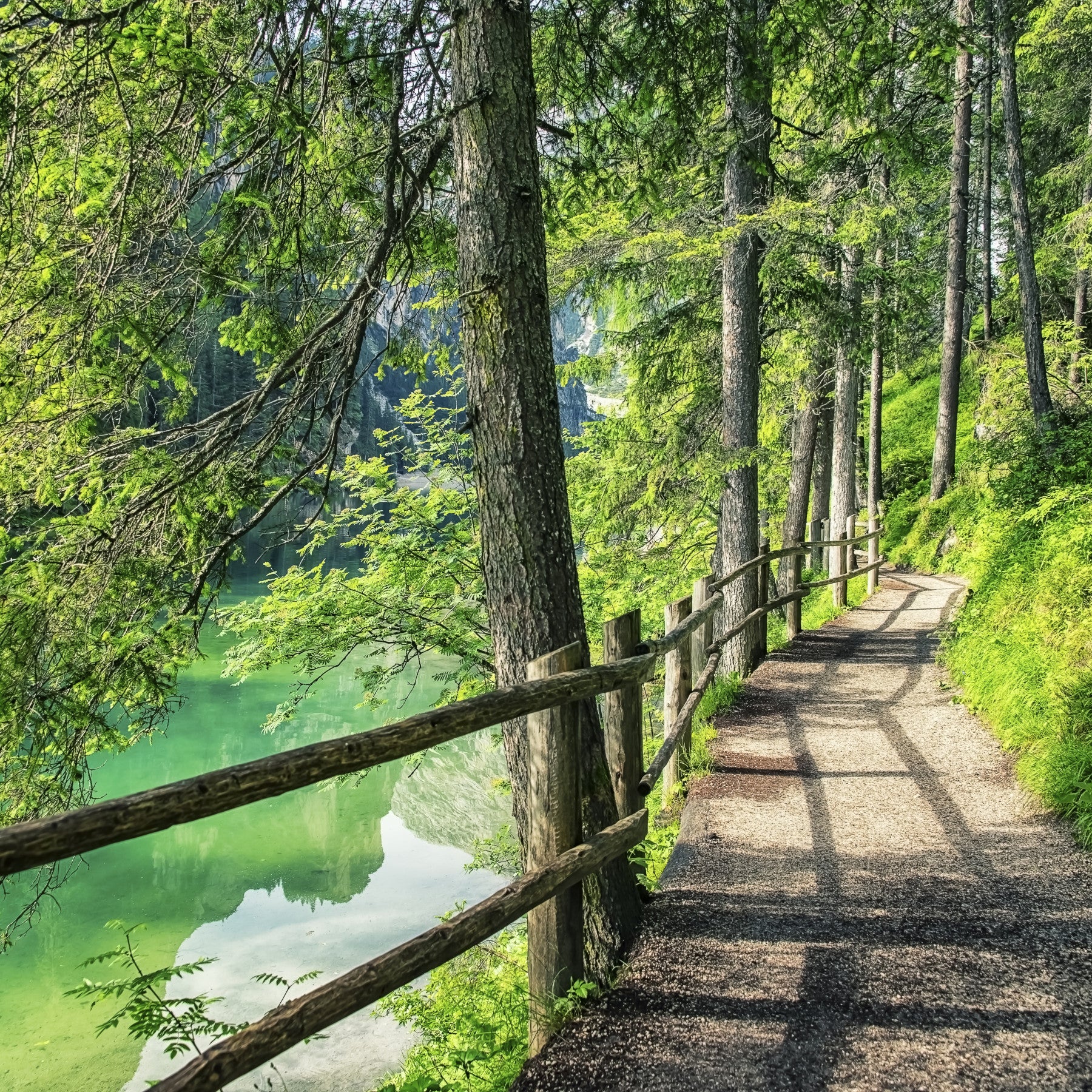 Emerald Lake Path