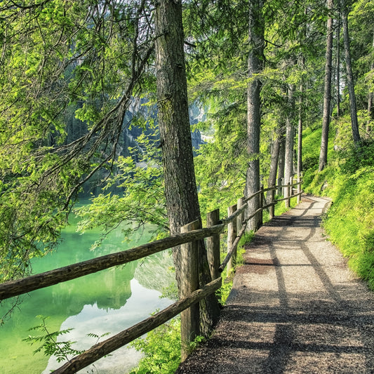 Emerald Lake Path
