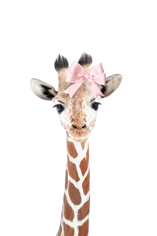 Baby Giraffe Bow