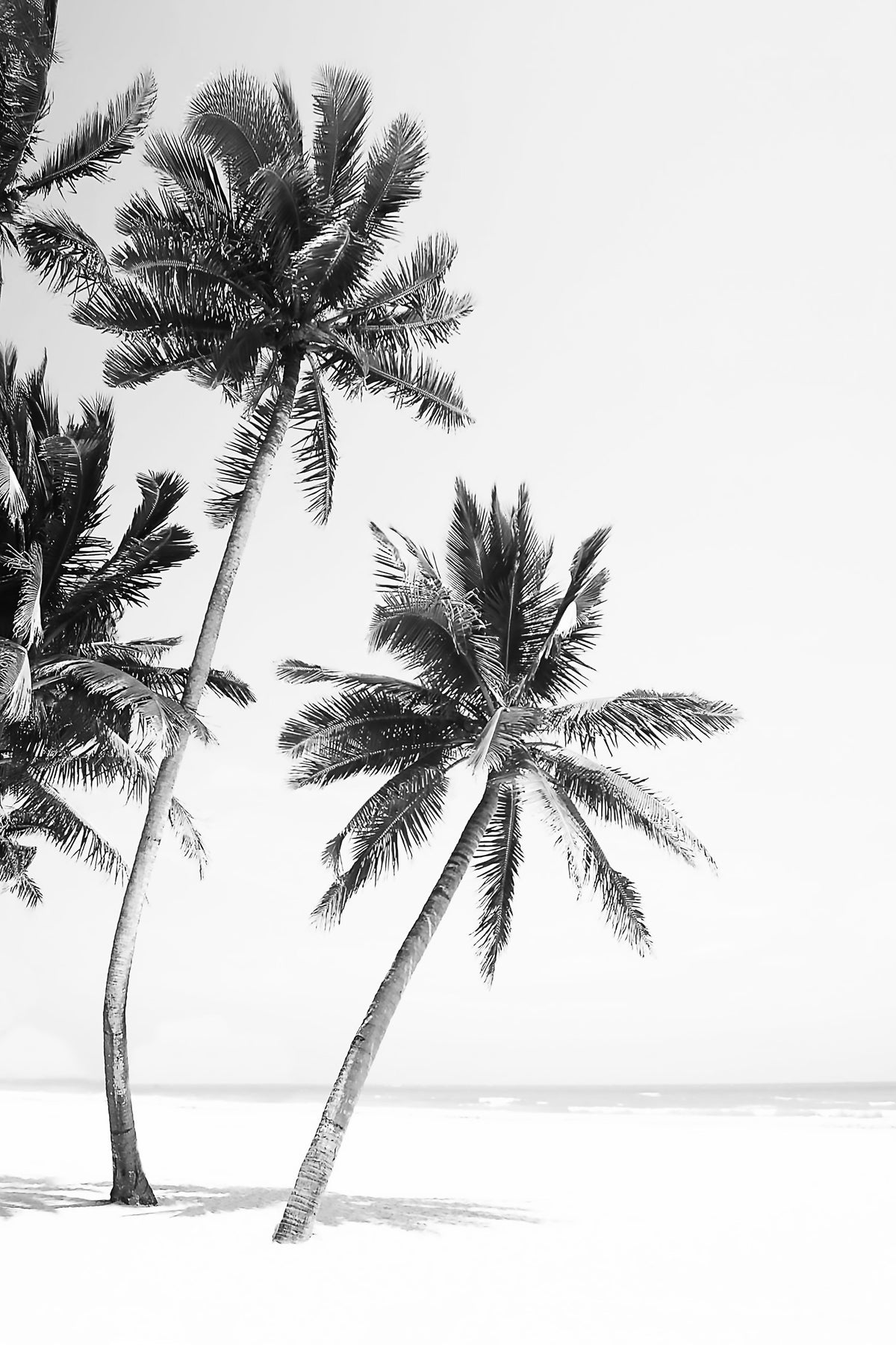 Island in your room — zoomed