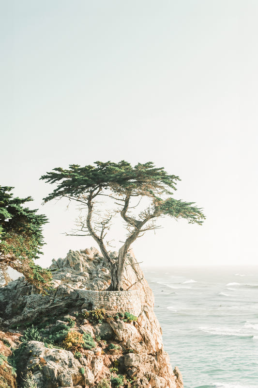 Monterey