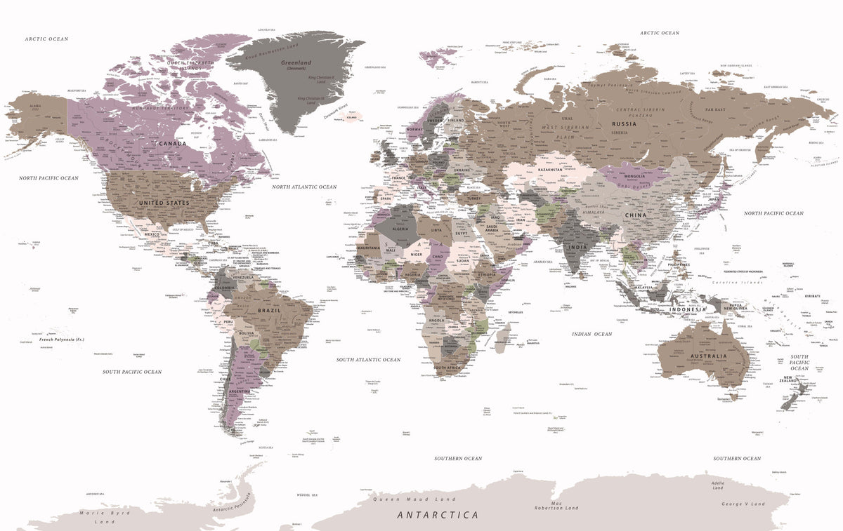 Detailed World Map Warm Neutrals Wall Mural in your room — zoomed