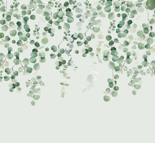 Eucalyptus Wall Wall Mural