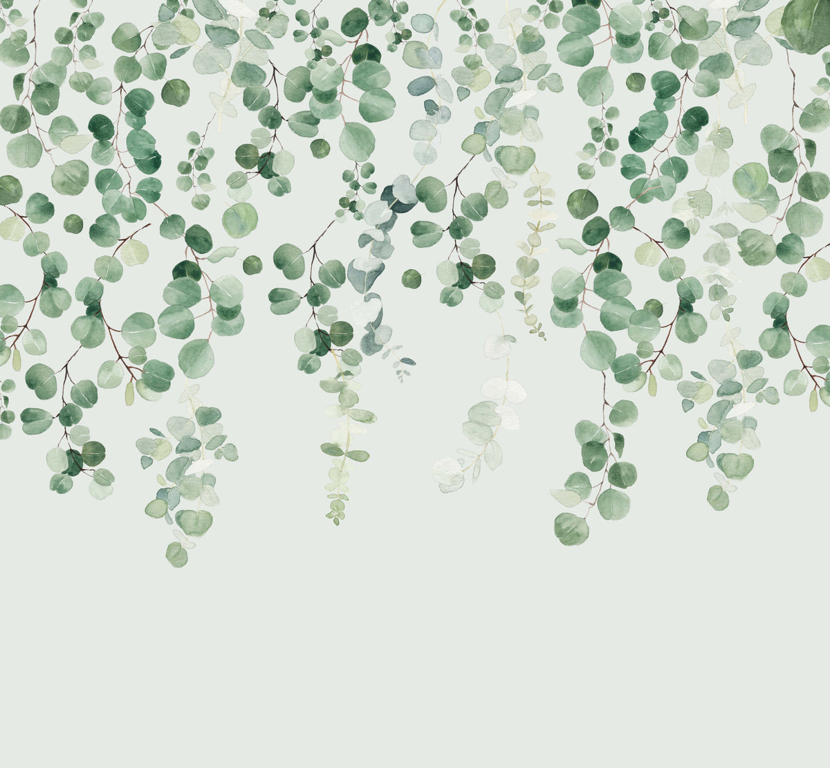 Eucalyptus Wall Wall Mural in your room — zoomed