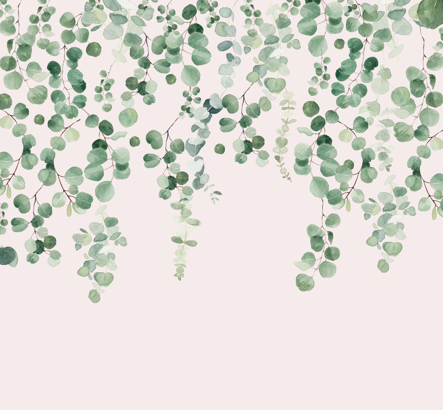 Eucalyptus Pink and Green Wall Mural