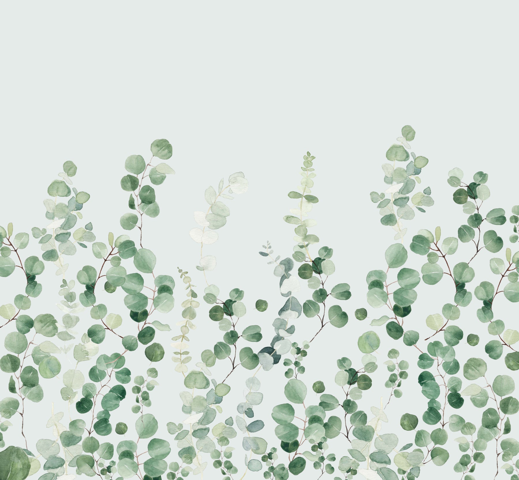 Eucalyptus Wall Mural