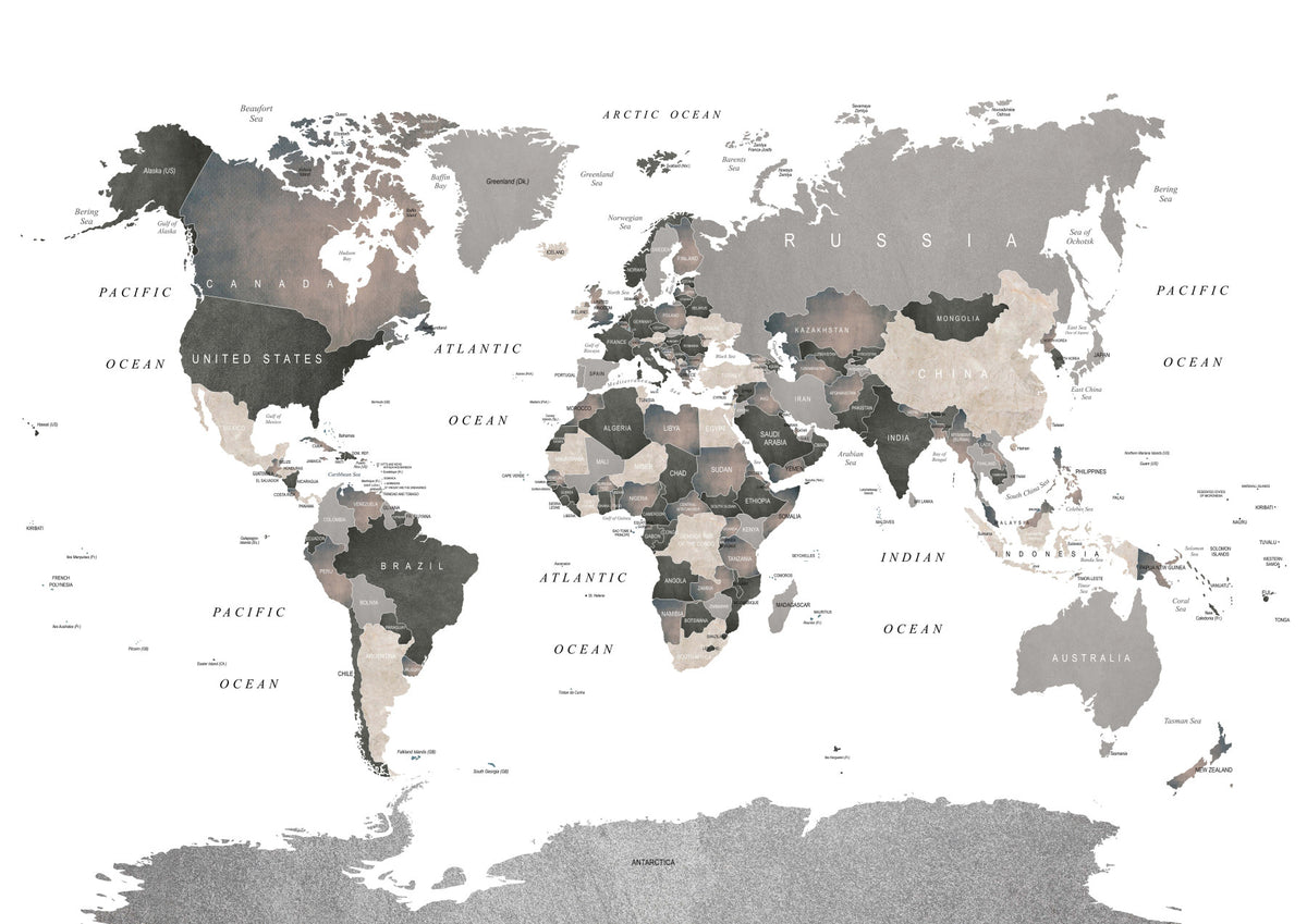 Map of the World Muted Tones Wall Mural in your room — zoomed