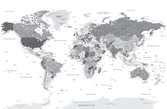 World Map Highly Detailed Grey Wall Mural