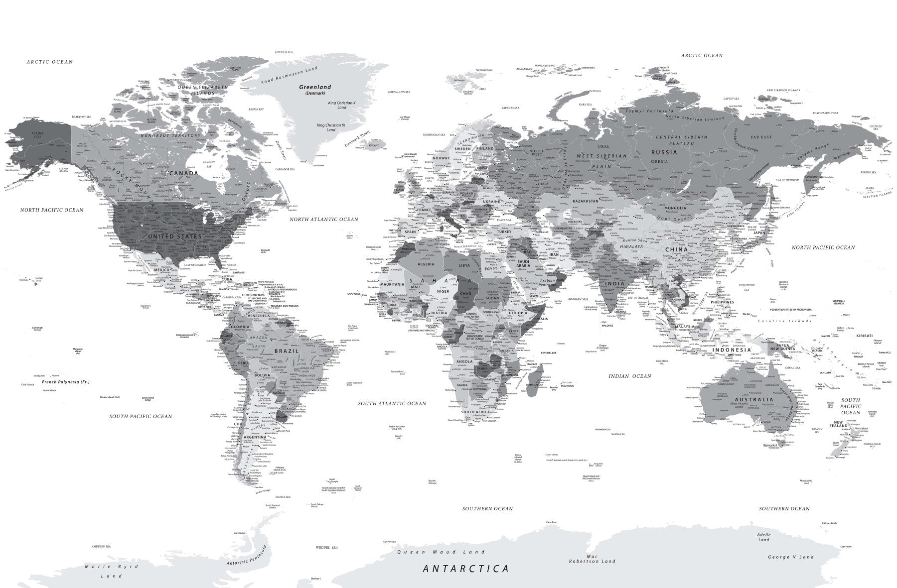 World Map Highly Detailed Grey Wall Mural