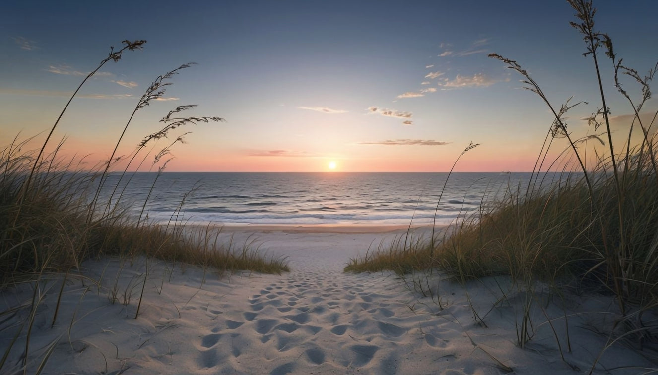 Coastal Path to Tranquility Wall Mural