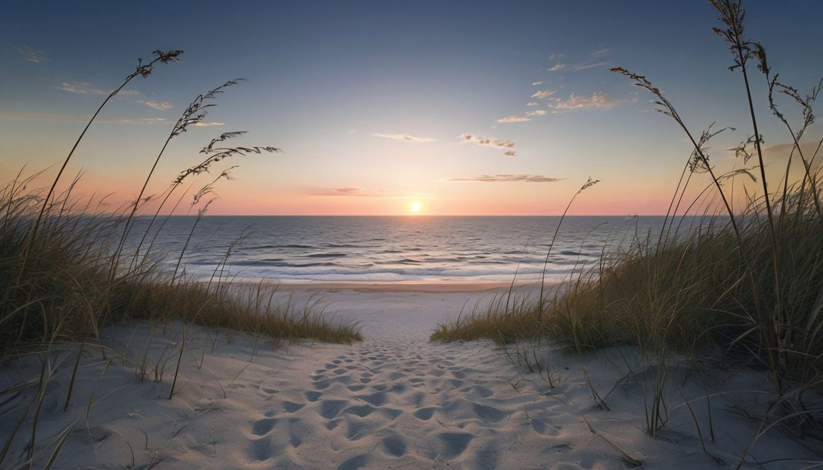 Coastal Path to Tranquility Wall Mural in your room — zoomed