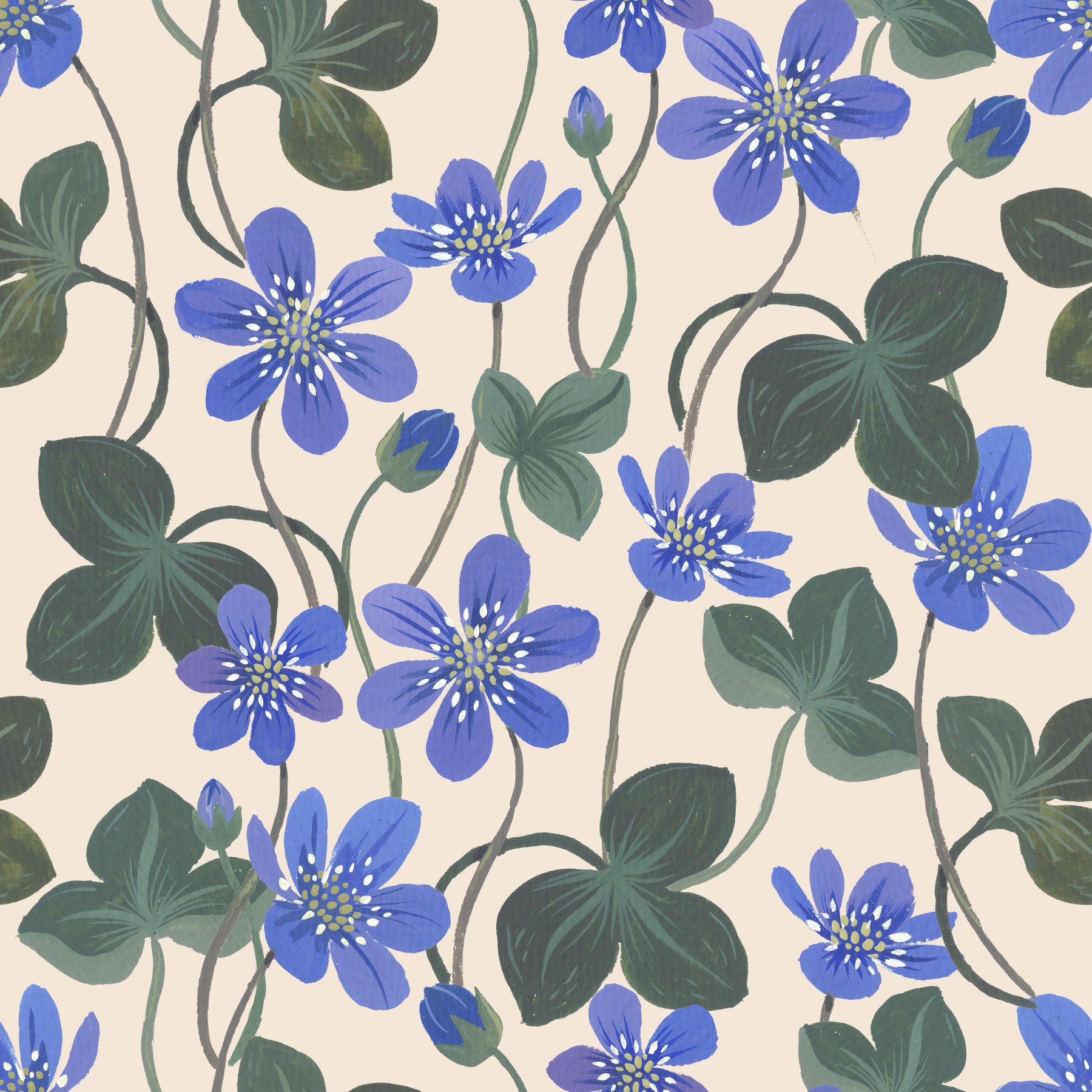 Blue Anemone Wallpaper⁠