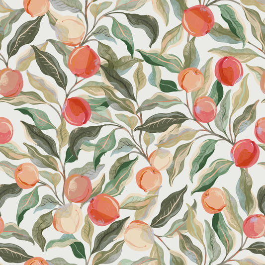Peaches  Painterly Cherries   Wallpaper⁠