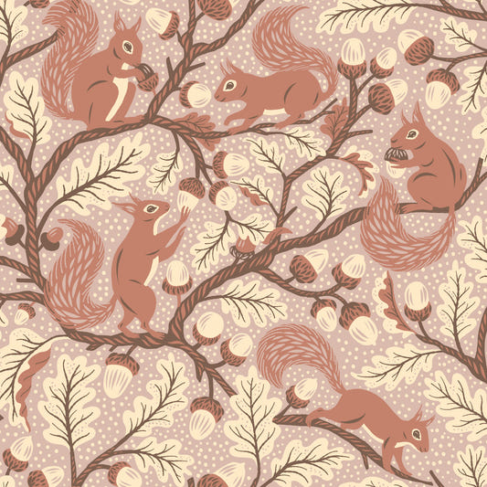 Squirrels in Oak tree  Wallpaper⁠