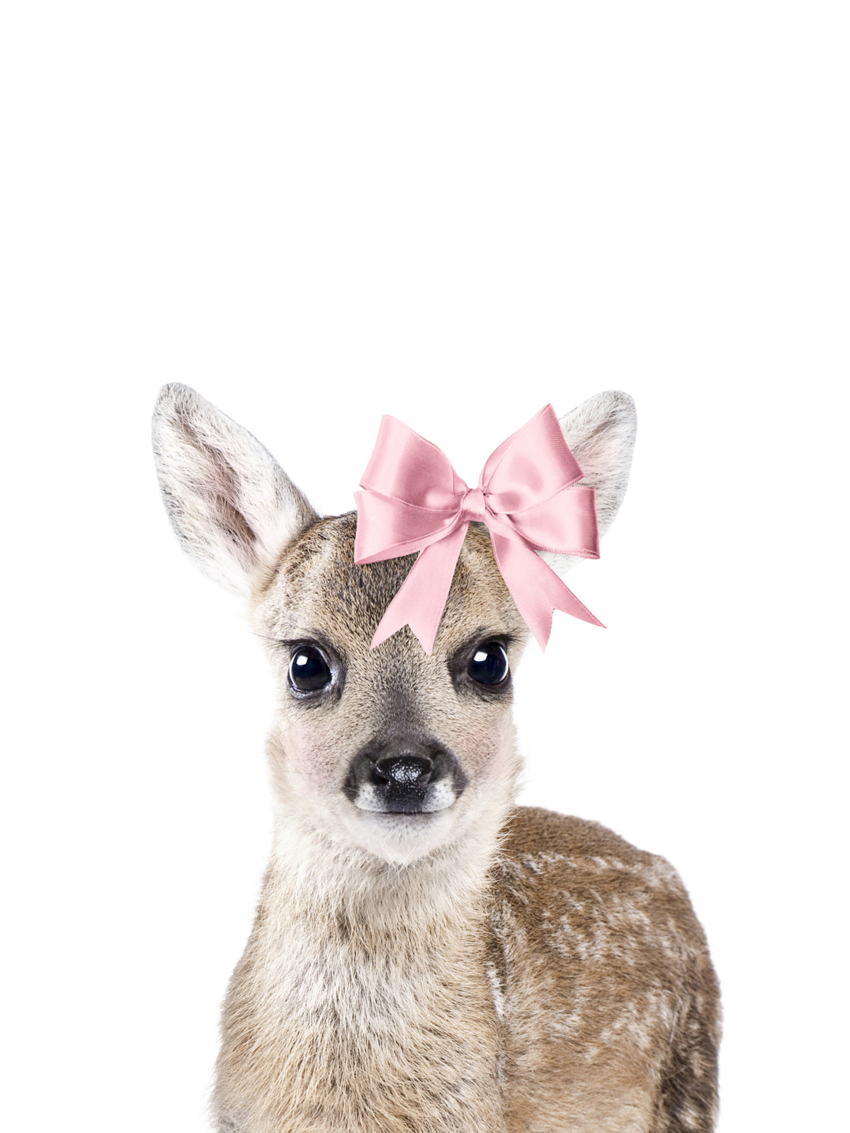 Baby Deer Wall Mural in your room — zoomed