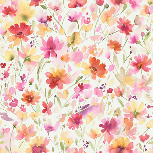 Cosmos Wildflowers Nature Summer  Wallpaper⁠