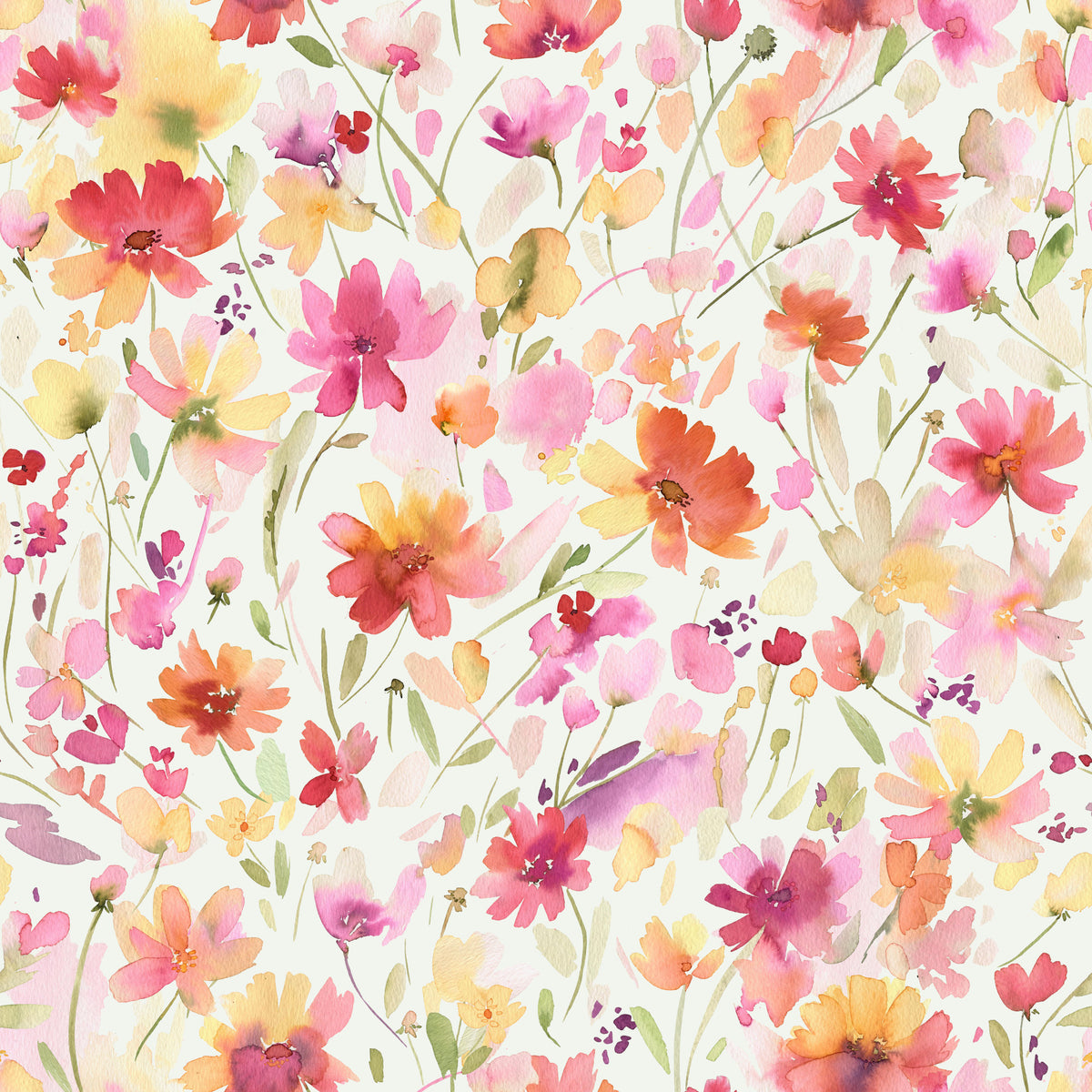 Cosmos Wildflowers Nature Summer  Wallpaper⁠