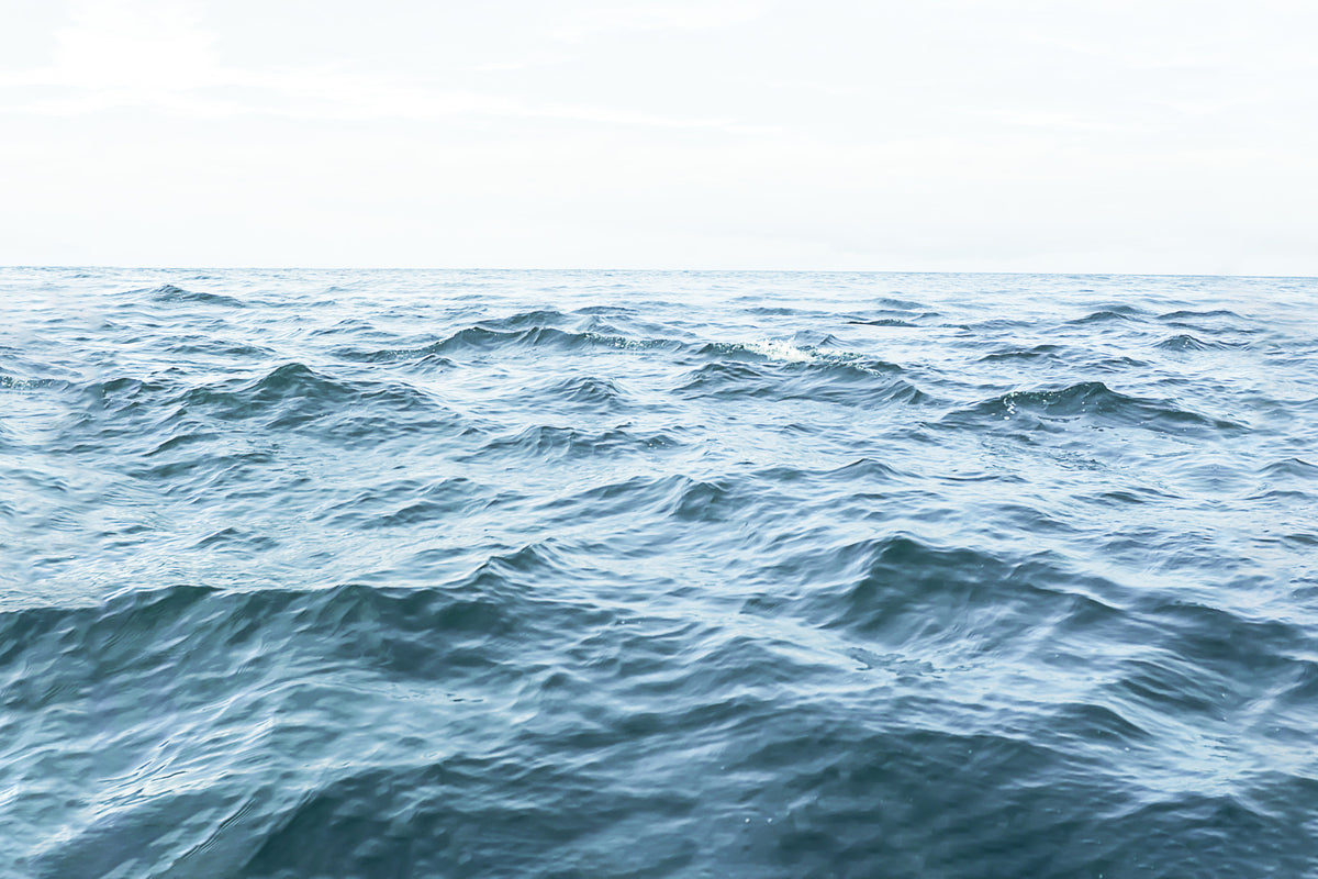 Ocean Serenity Wall Mural