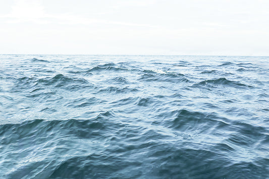 Ocean Serenity Wall Mural