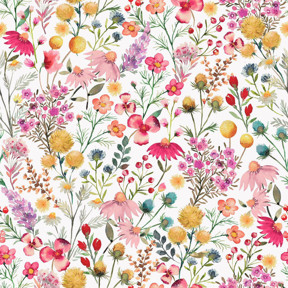 Delicate Botanical Dry Flowers  Wallpaper⁠
