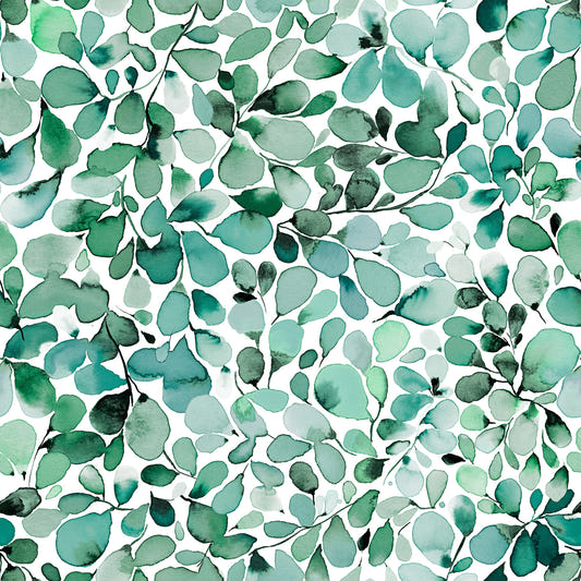 Eucalyptus Jungle Leaves  Wallpaper⁠