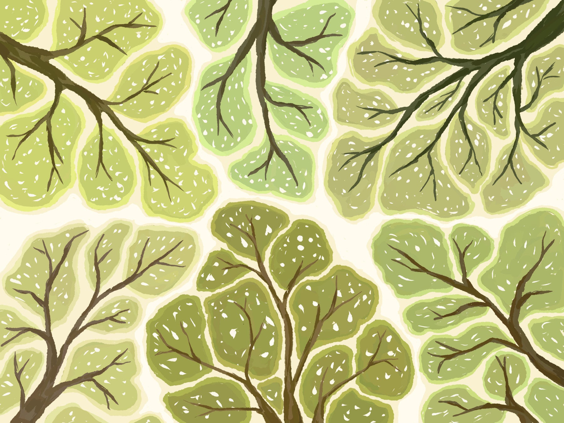 Crown Shyness - Forest Canopy Wall Mural