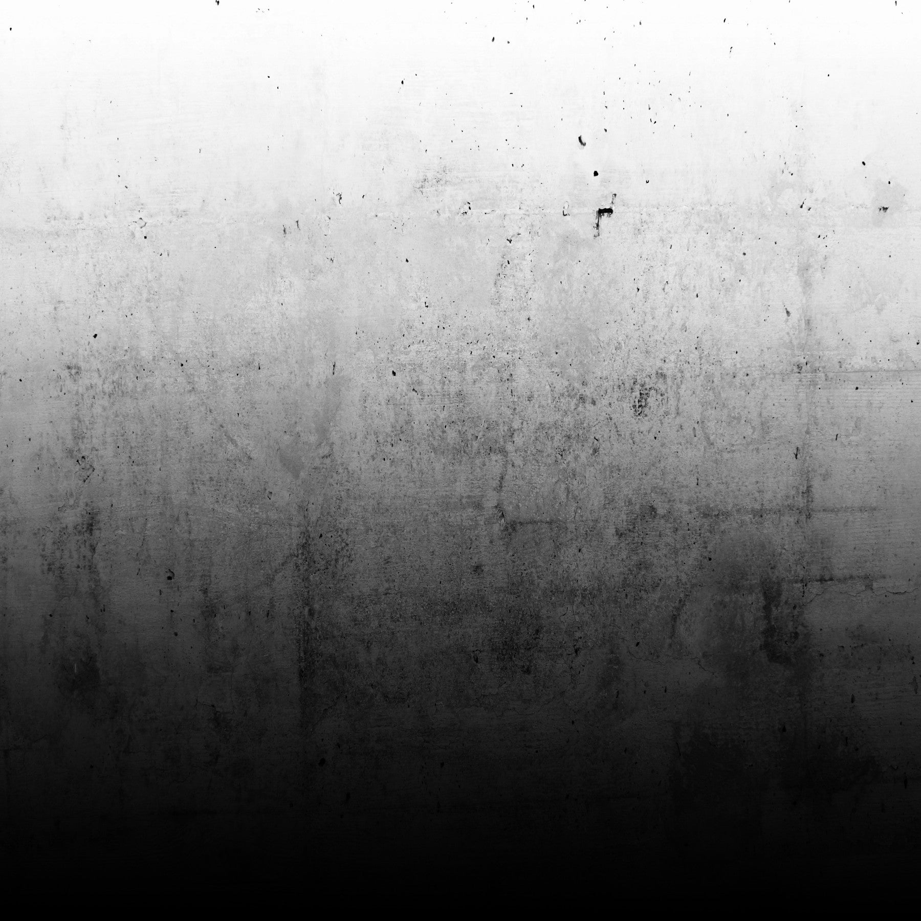 Black Ombre on Concrete Wall Mural