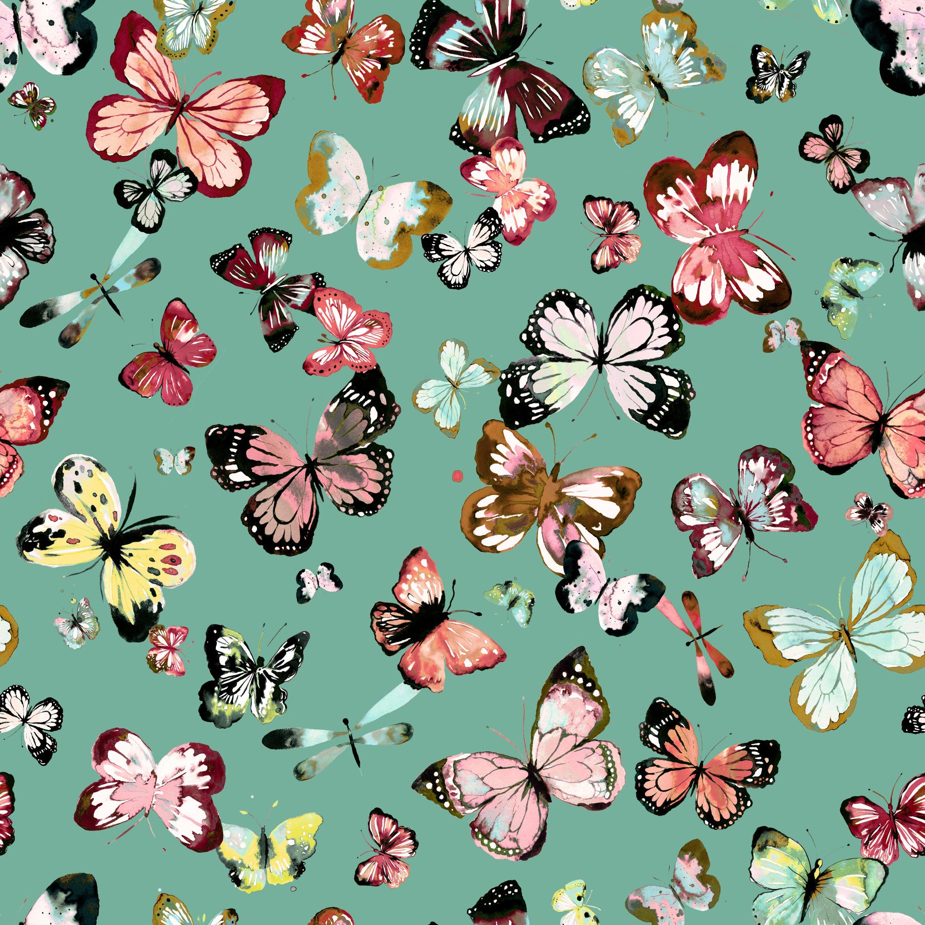 Flying Butterflies Colorful Teal Coral Wallpaper⁠