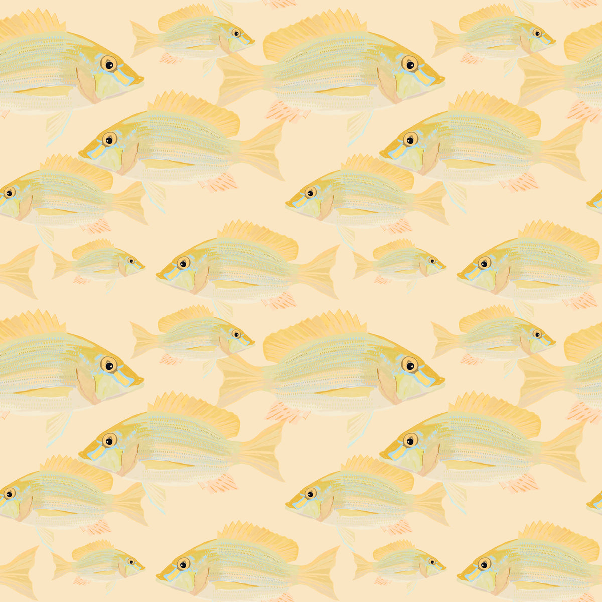 Sand Bream - The Fish Wall Mural